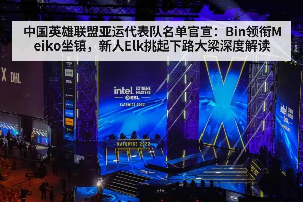 中国英雄联盟亚运代表队名单官宣:Bin领衔Meiko坐镇,新人Elk挑起下路大梁深度解读